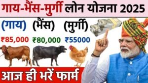 Pashupalan Loan Yojana 2025